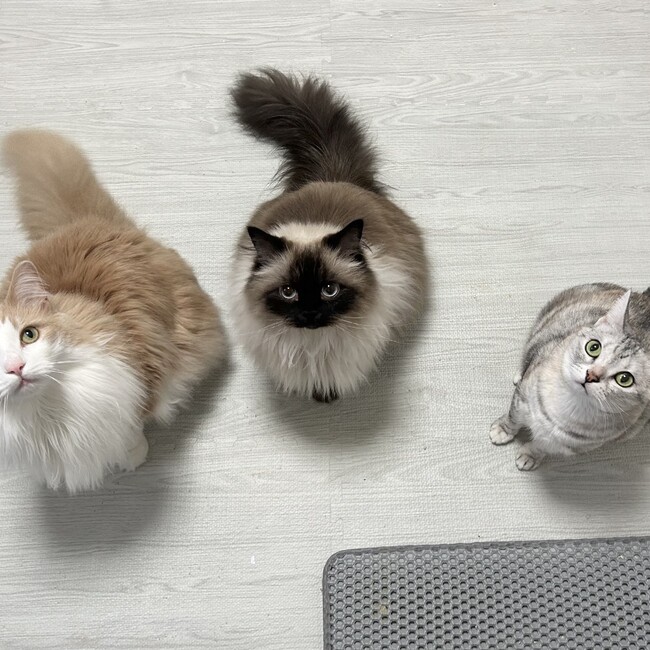 すかいむーんのカバー写真