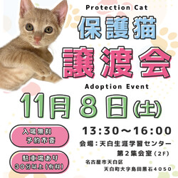 東郷★ねこ譲渡会