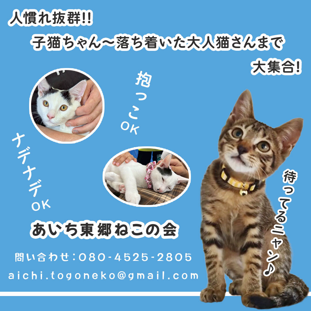 コトネ　愛知県限定手渡のみ名古屋市市西区北区配送無料 コトネ様専用 愛知県限定手渡のみ名古屋市市西区北区配送無料 3月9日