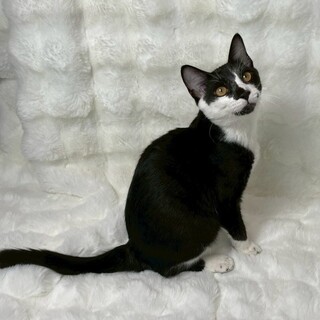 ゆうきくん♂@約6ヶ月