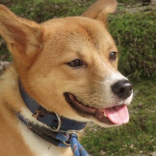 足先の白ソックスがお洒落な男の子【空】くん