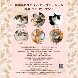 動物病院の保護猫譲渡会 サムネイル1