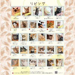 動物病院の保護猫譲渡会 サムネイル2