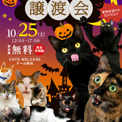 ふれあえる譲渡会　in大阪市