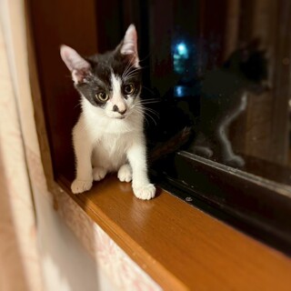 遊び甘えも全力投球！明るく優しい♡ラスカル