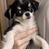 の写真