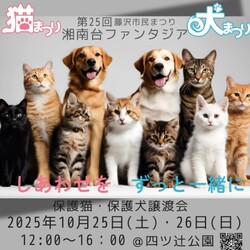 湘南台ファンタジア【猫の譲渡会】にゃんまるの会 サムネイル1
