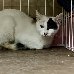 ところで見ていただきたい