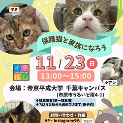 さくらねこDays  保護猫譲渡会