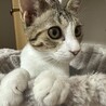 素敵なご家族と出会えました♡つぐみちゃん サムネイル3