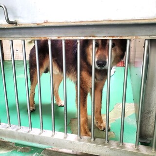 ありがとうございました！