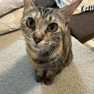 素敵な家族ができました♡うのちゃん