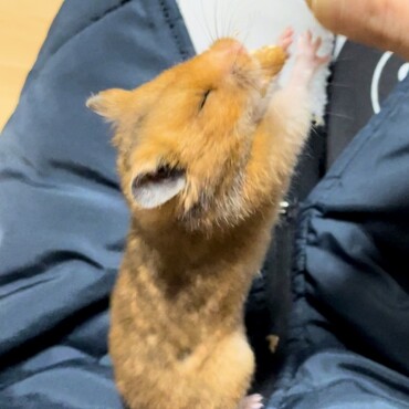 おやつが折れた瞬間