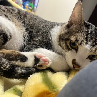 事情により飼えなくなりました。