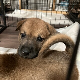 一旦募集停止します