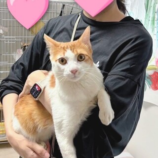 人馴れ抜群❤️ブレッドくん