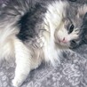ゆデンか