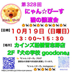 にゃん☆ぴーす猫の譲渡会【カインズ船橋習志野店2F『犬の学校goodone』】