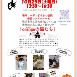 orangeの猫たちの譲渡会IN大倉山