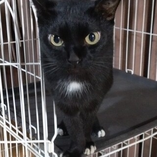 里親決定！残りの兄妹もよろしくお願いいたします。