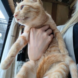 声が太めな甘えん坊や(⁠^⁠^⁠)