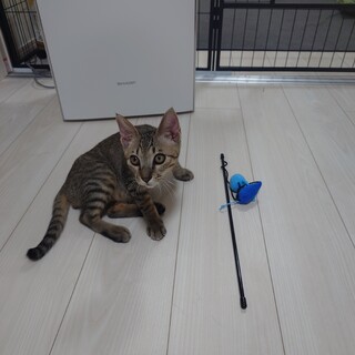 元気いっぱい！遊ぶの大好き！食べるの大好き！男の子