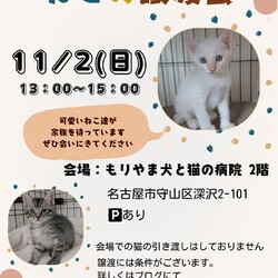 ねこの譲渡会 inもりやま犬と猫の病院