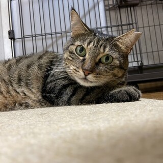 　蕗ちゃん　⭐︎スイちゃんとペア希望