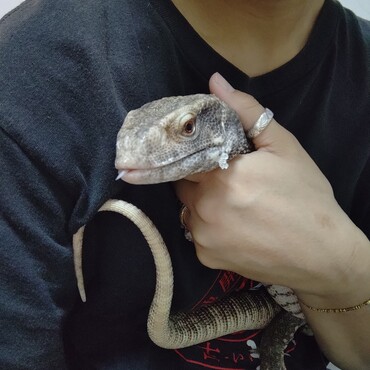 お腹いっぱいで満足している(๑•̀ㅁ•́๑)✧