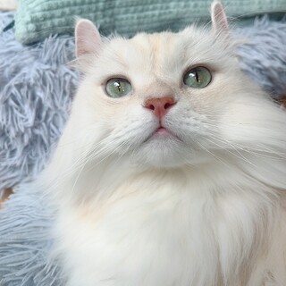 お昼寝大好き！