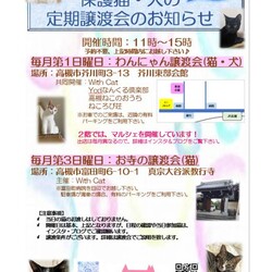 わんにゃん譲渡会 サムネイル2