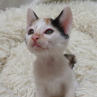 元気いっぱい女の子☆3ヶ月