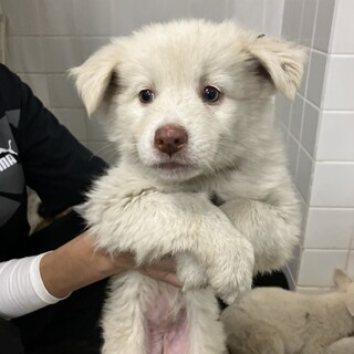 朝早くからのお迎え有難うございました！