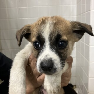 朝早くからのお迎え有難うございました！