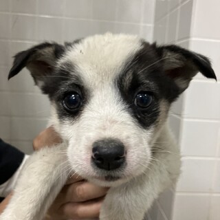 10月27日（月）朝9時※必ず時間厳守