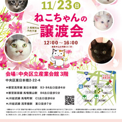 ねこざんまい譲渡会@東日本橋