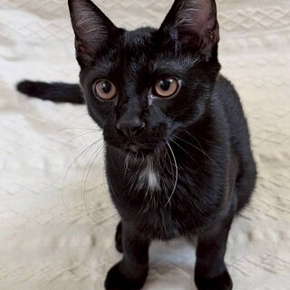 こぐまくん♂@約7ヶ月