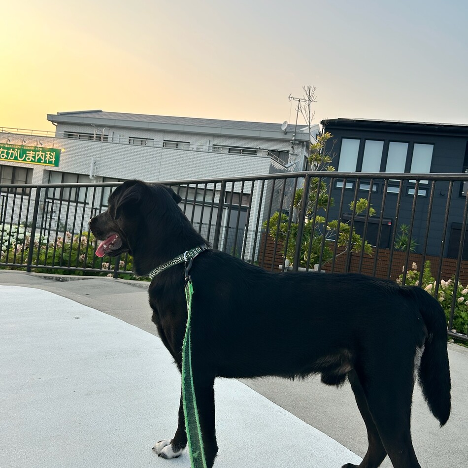 えいとのカバー写真