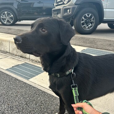 一点見つめ