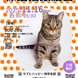 ラブとハッピー府中【保護猫譲渡会】