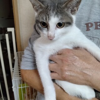 かわいいにわちゃんです