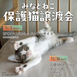 みなとねこ保護猫譲渡会＠SPOT六本木ミッドタウンサイド