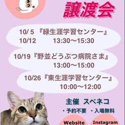 スベネコ譲渡会：10/26 AM　@東生涯学習センター