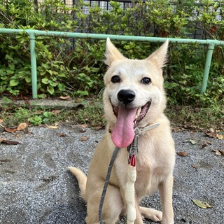 一旦募集停止します