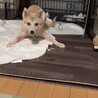 一旦募集停止します サムネイル2