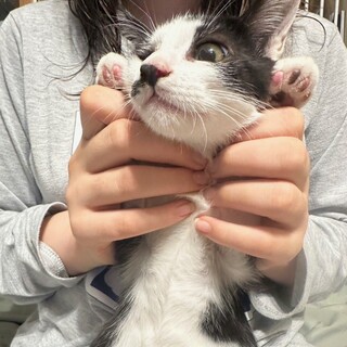 片目のハンディ問題ありません！元気で良い子のマチュ