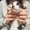 片目のハンディ問題ありません！元気で良い子のマチュ