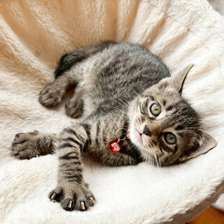 募集停止とても人懐っこい性格女の子❤️つぐみ