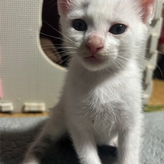 やんちゃで元気いっぱいな女の子