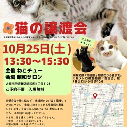 ねこチュー第27回猫の譲渡会